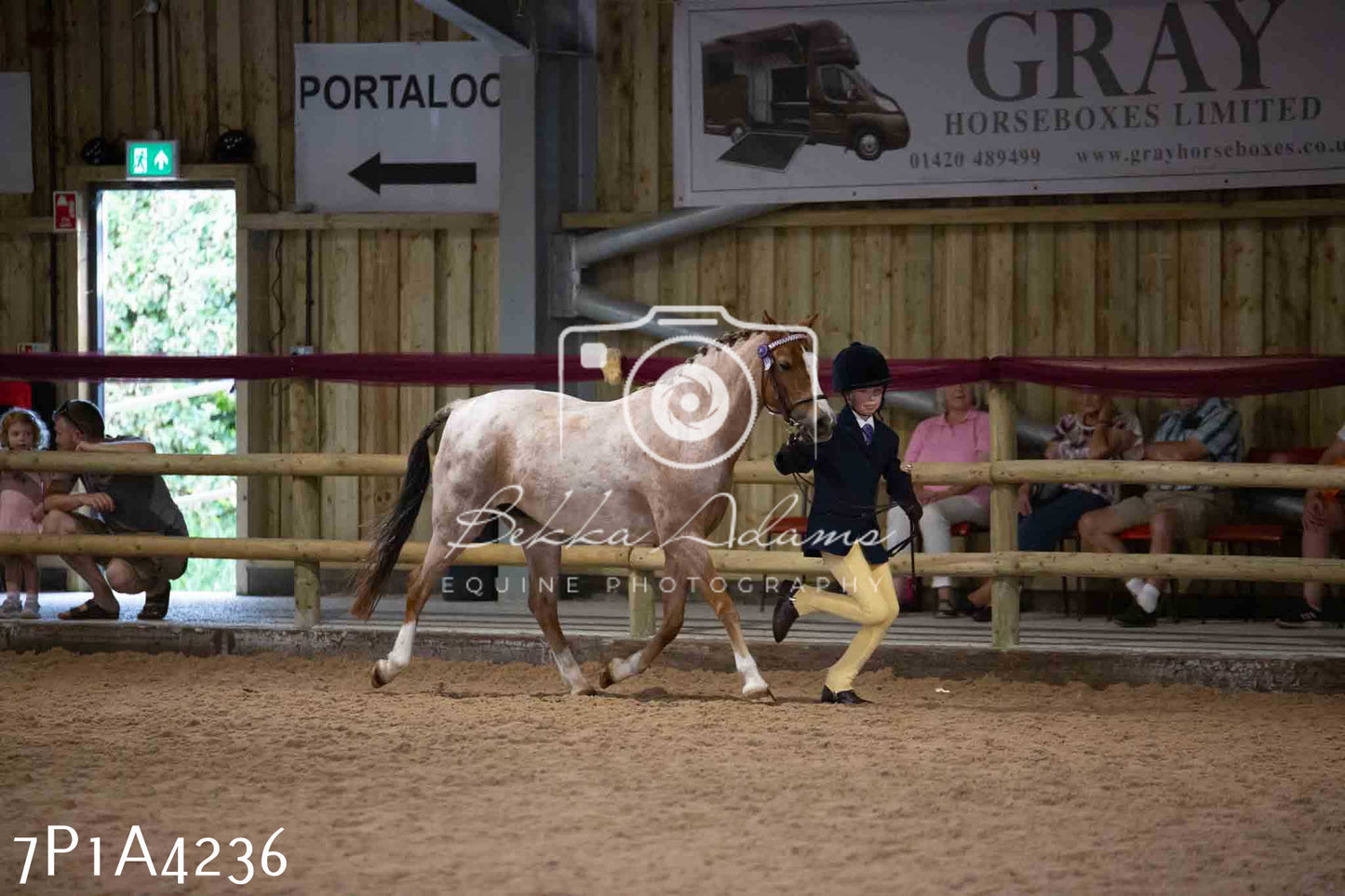 JHOYS 2023 - 9th September - Inhand Showing Pt2