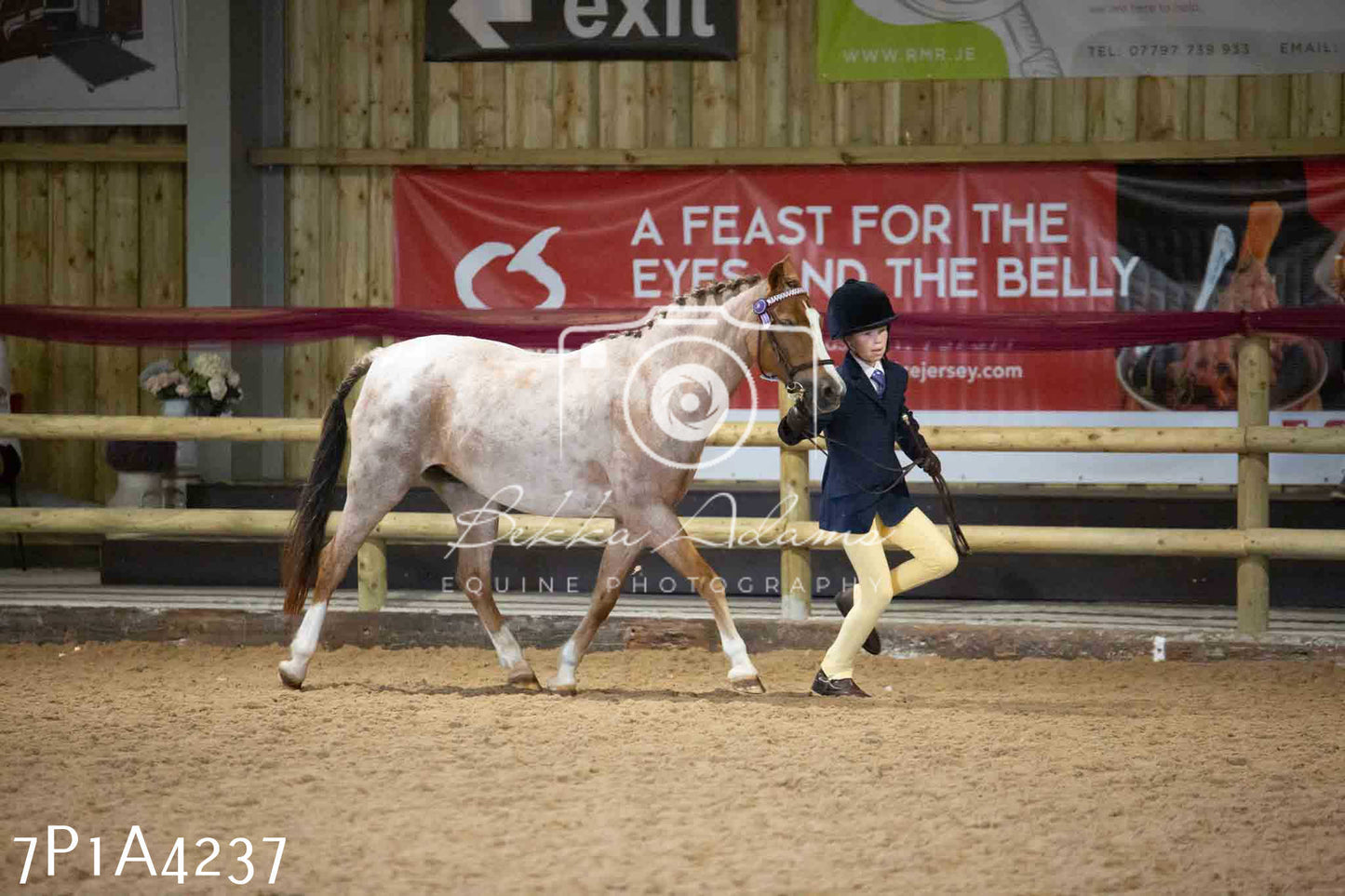 JHOYS 2023 - 9th September - Inhand Showing Pt2