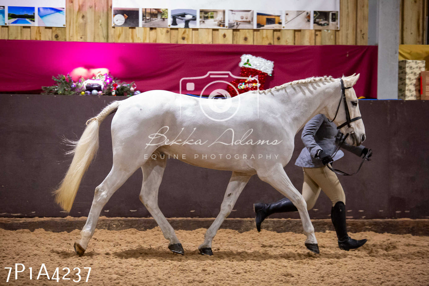 Home Farm Christmas Show 2024 - Inhand