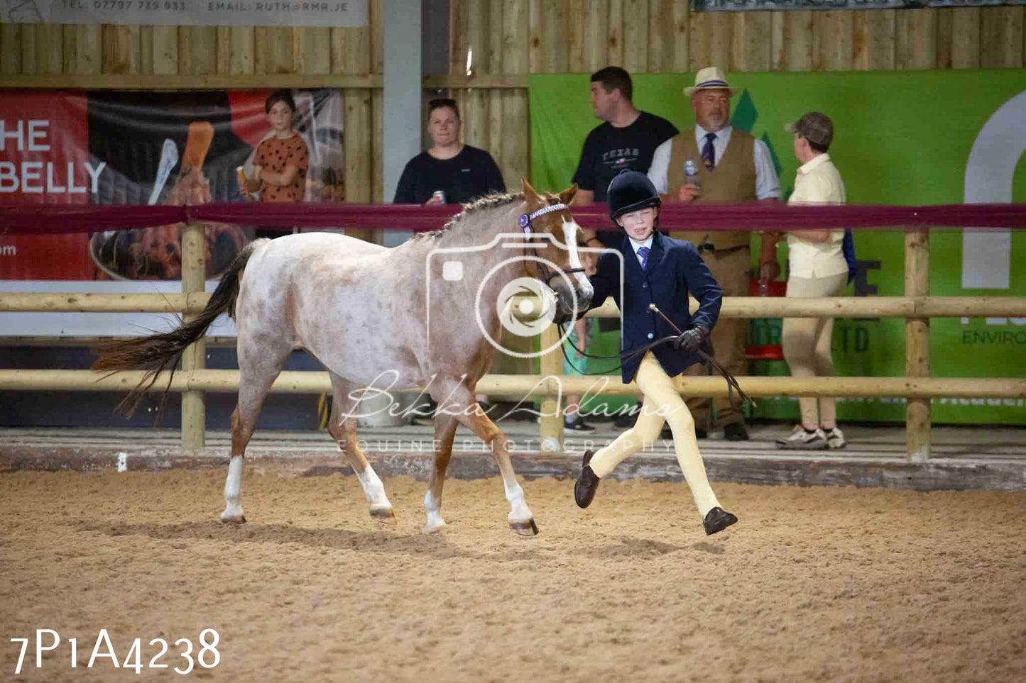 JHOYS 2023 - 9th September - Inhand Showing Pt2