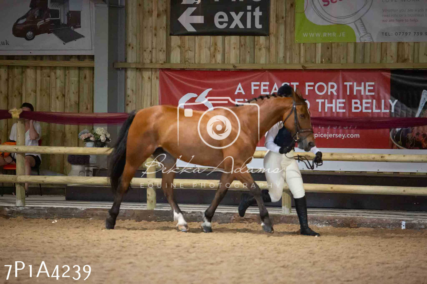 JHOYS 2023 - 9th September - Inhand Showing Pt2