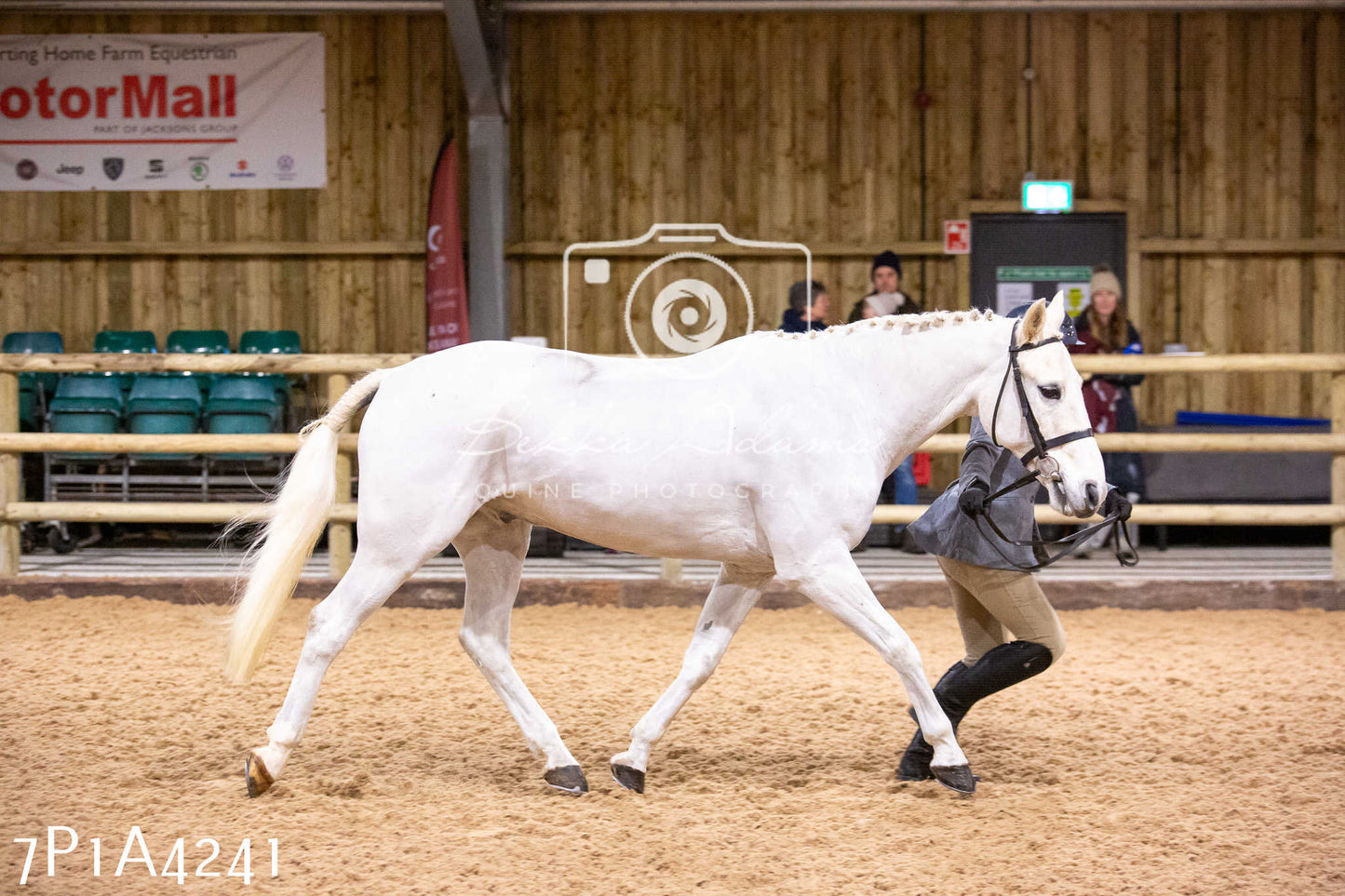 Home Farm Christmas Show 2024 - Inhand
