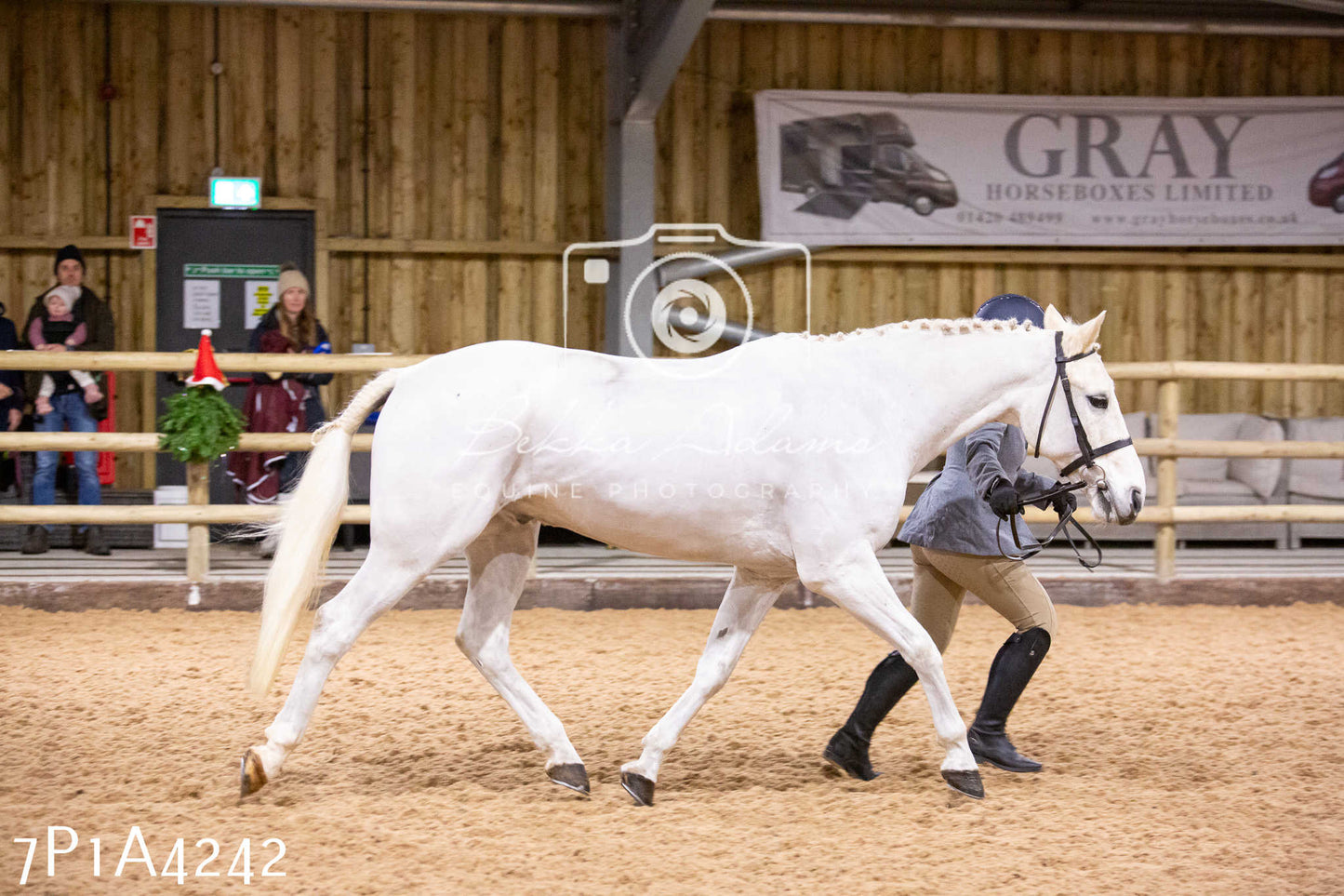Home Farm Christmas Show 2024 - Inhand