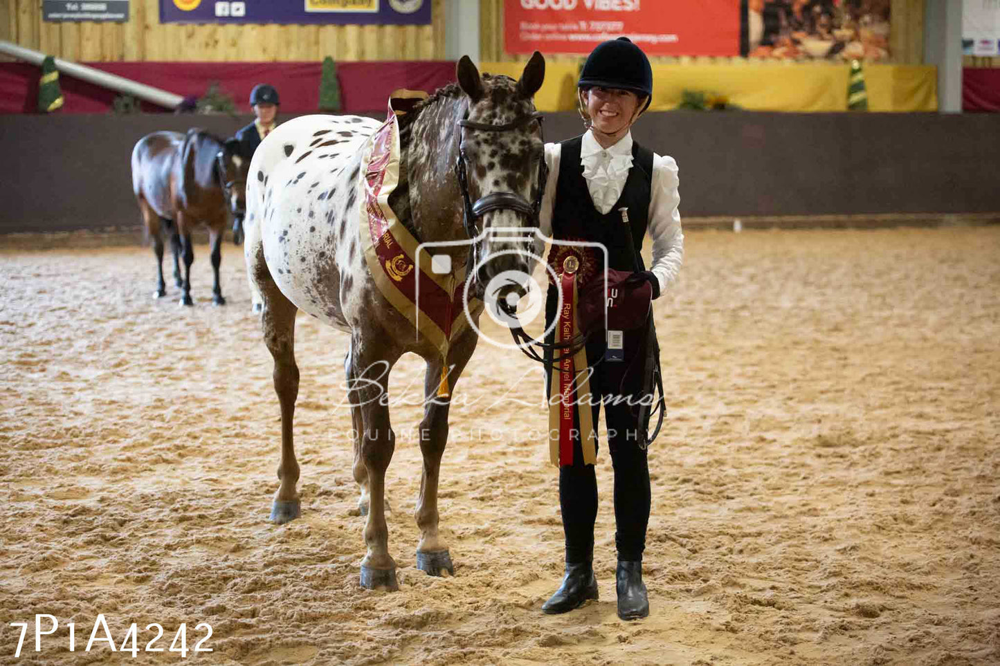 JHOYS 2023 - 9th September - Inhand Showing Pt2