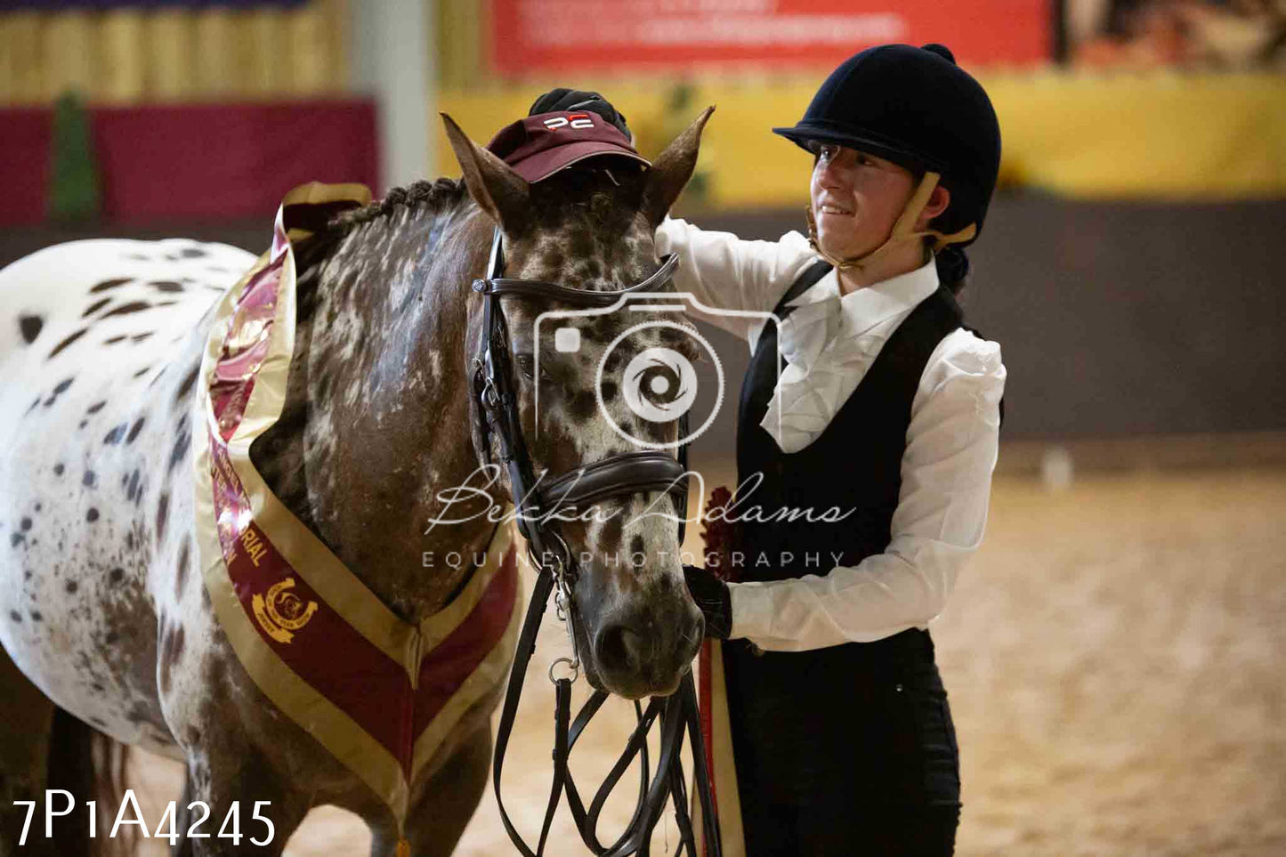 JHOYS 2023 - 9th September - Inhand Showing Pt2