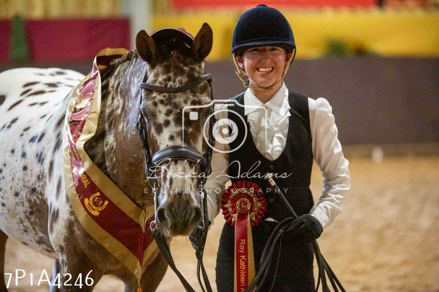 JHOYS 2023 - 9th September - Inhand Showing Pt2