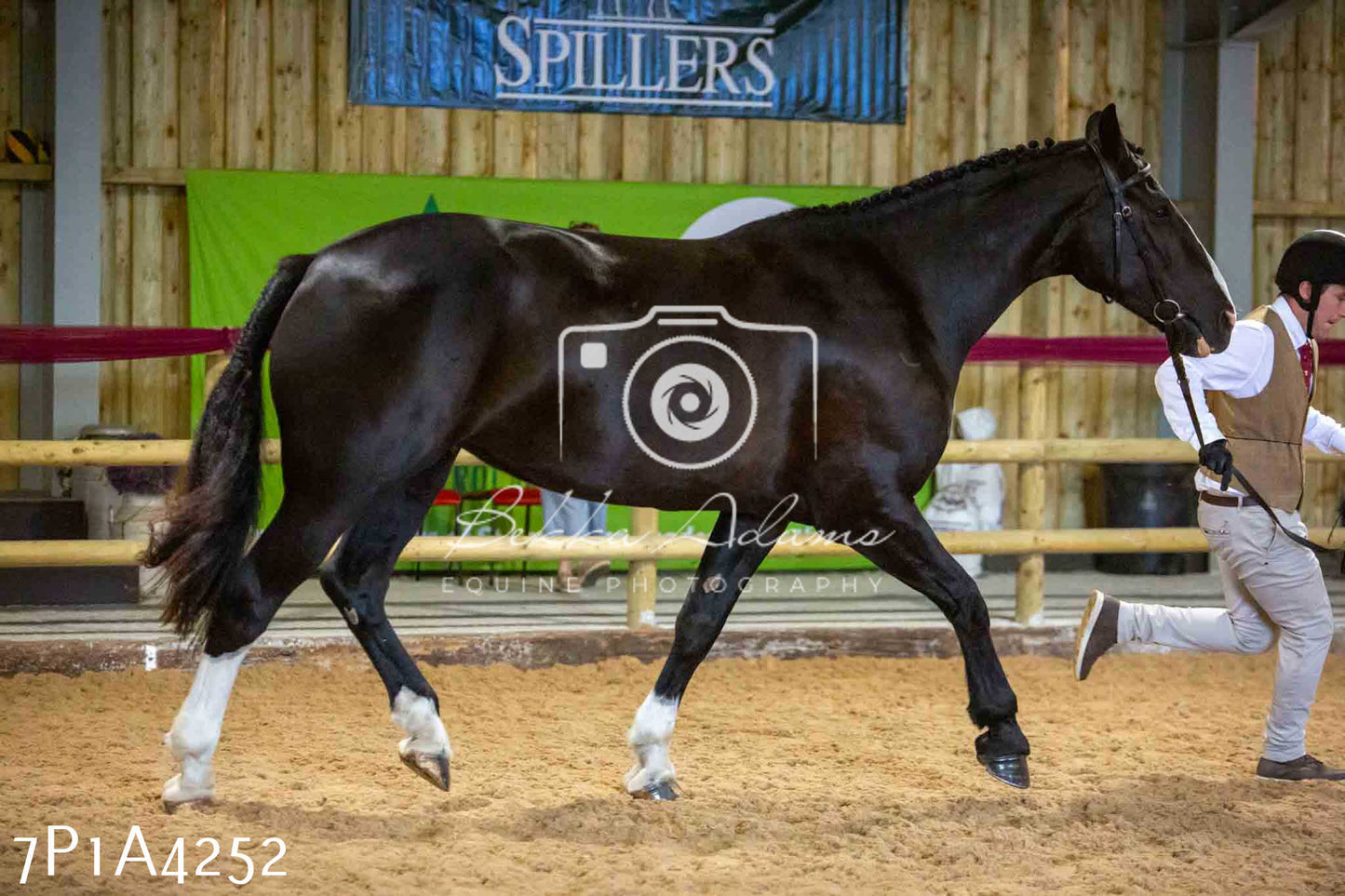 JHOYS 2023 - 9th September - Inhand Showing Pt2
