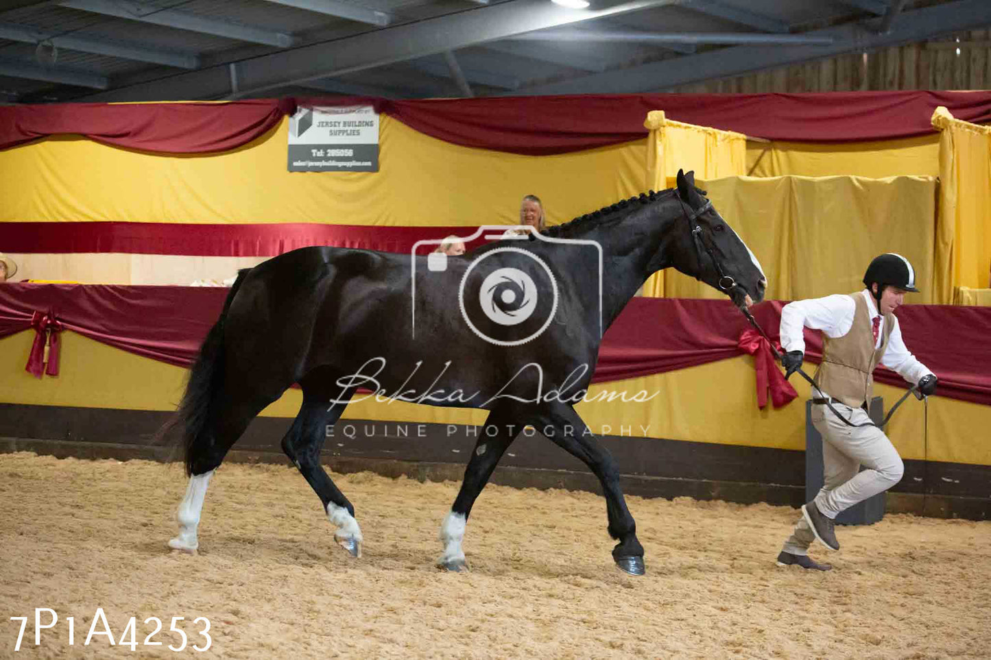 JHOYS 2023 - 9th September - Inhand Showing Pt2