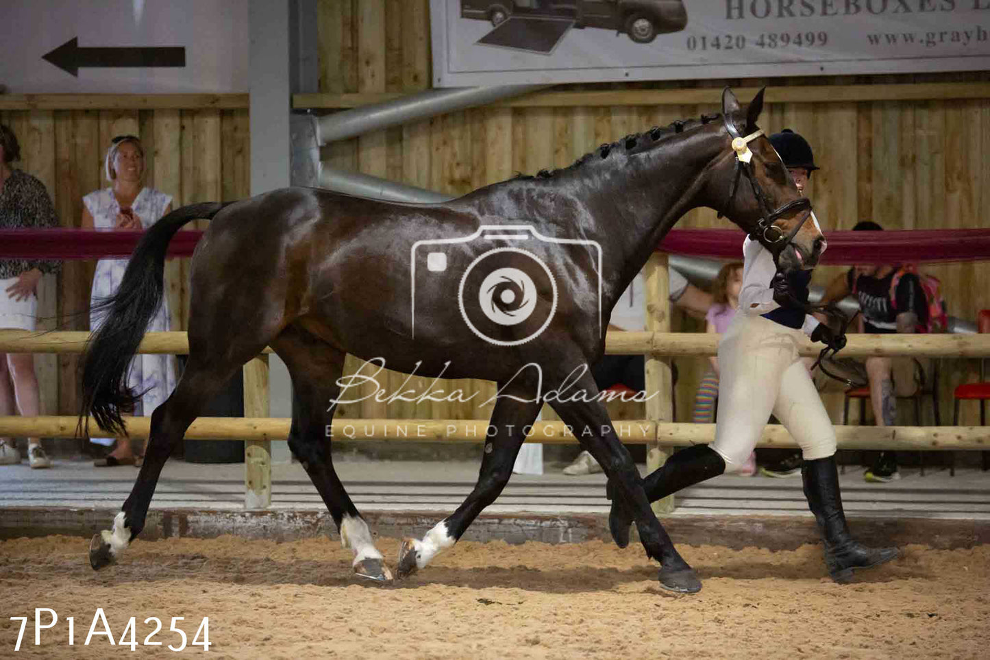JHOYS 2023 - 9th September - Inhand Showing Pt2