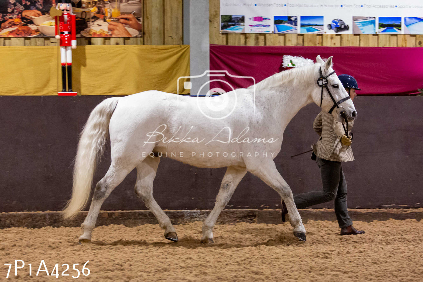 Home Farm Christmas Show 2024 - Inhand