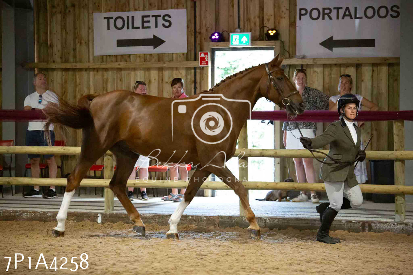 JHOYS 2023 - 9th September - Inhand Showing Pt2