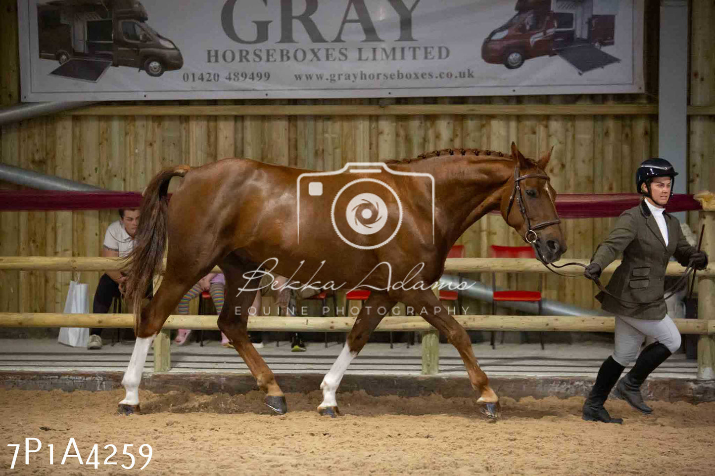 JHOYS 2023 - 9th September - Inhand Showing Pt2
