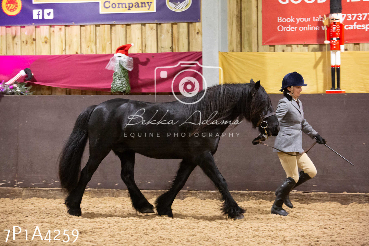 Home Farm Christmas Show 2024 - Inhand