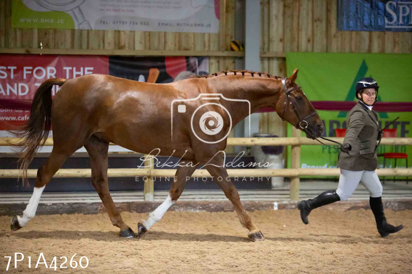 JHOYS 2023 - 9th September - Inhand Showing Pt2