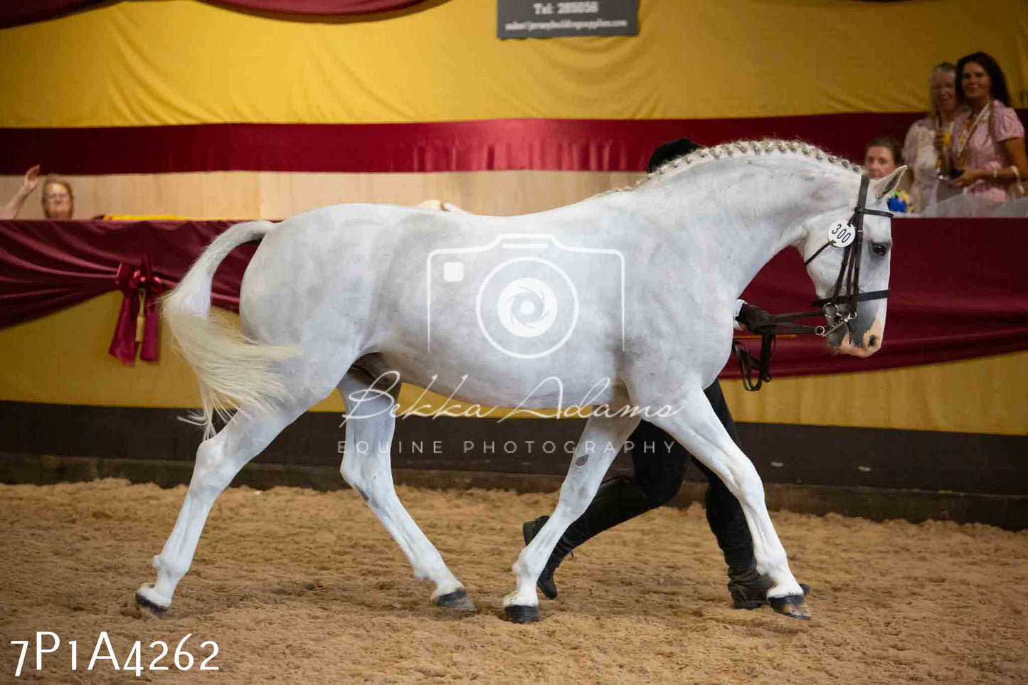 JHOYS 2023 - 9th September - Inhand Showing Pt2