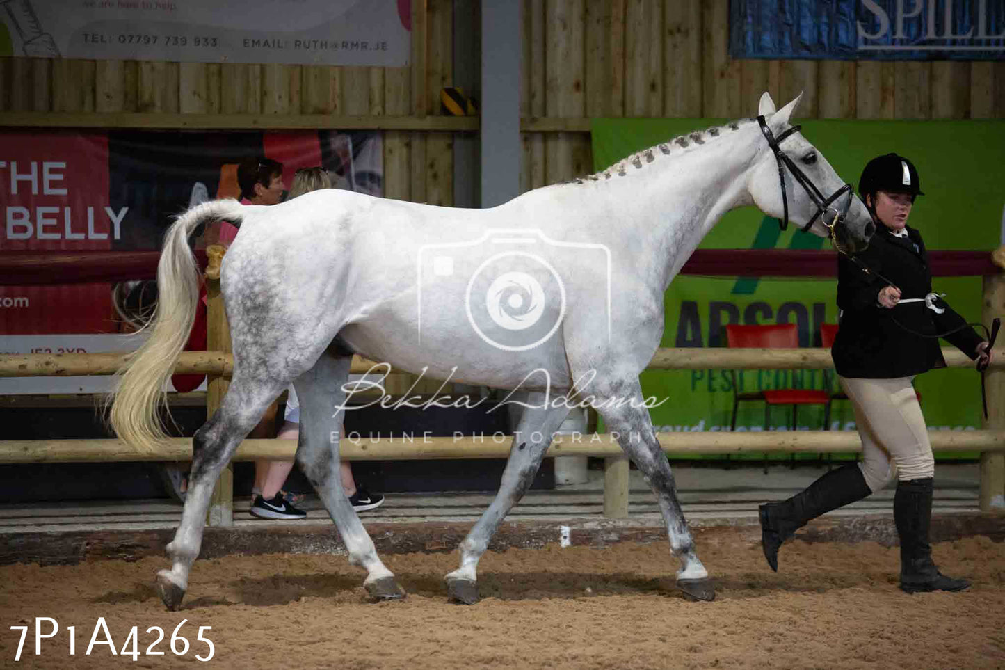 JHOYS 2023 - 9th September - Inhand Showing Pt2