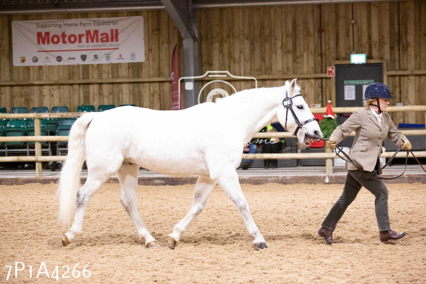 Home Farm Christmas Show 2024 - Inhand