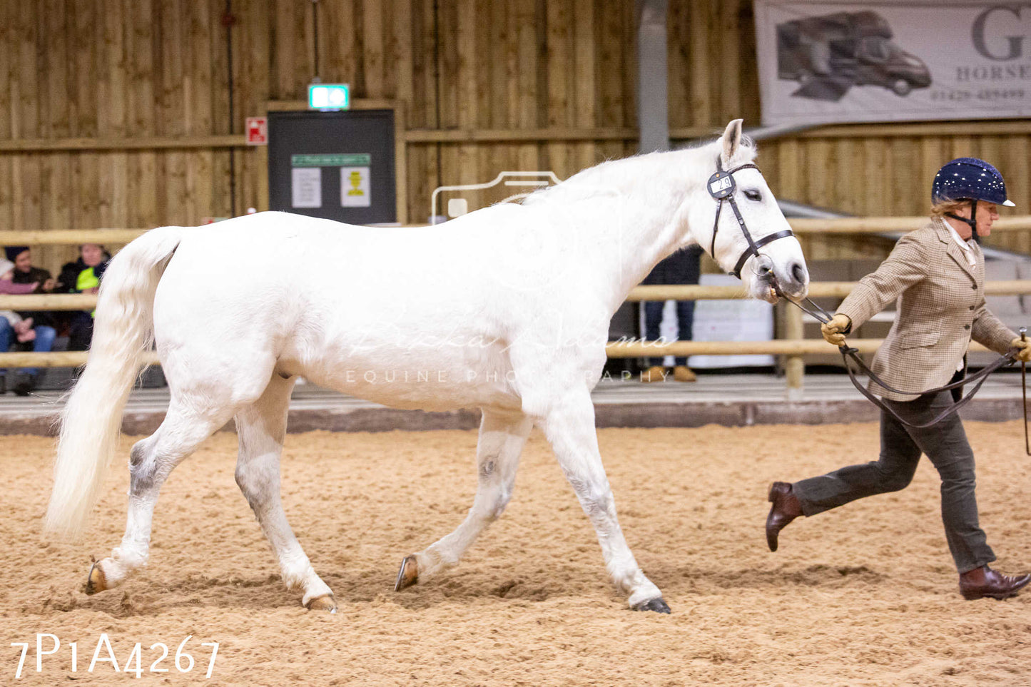 Home Farm Christmas Show 2024 - Inhand