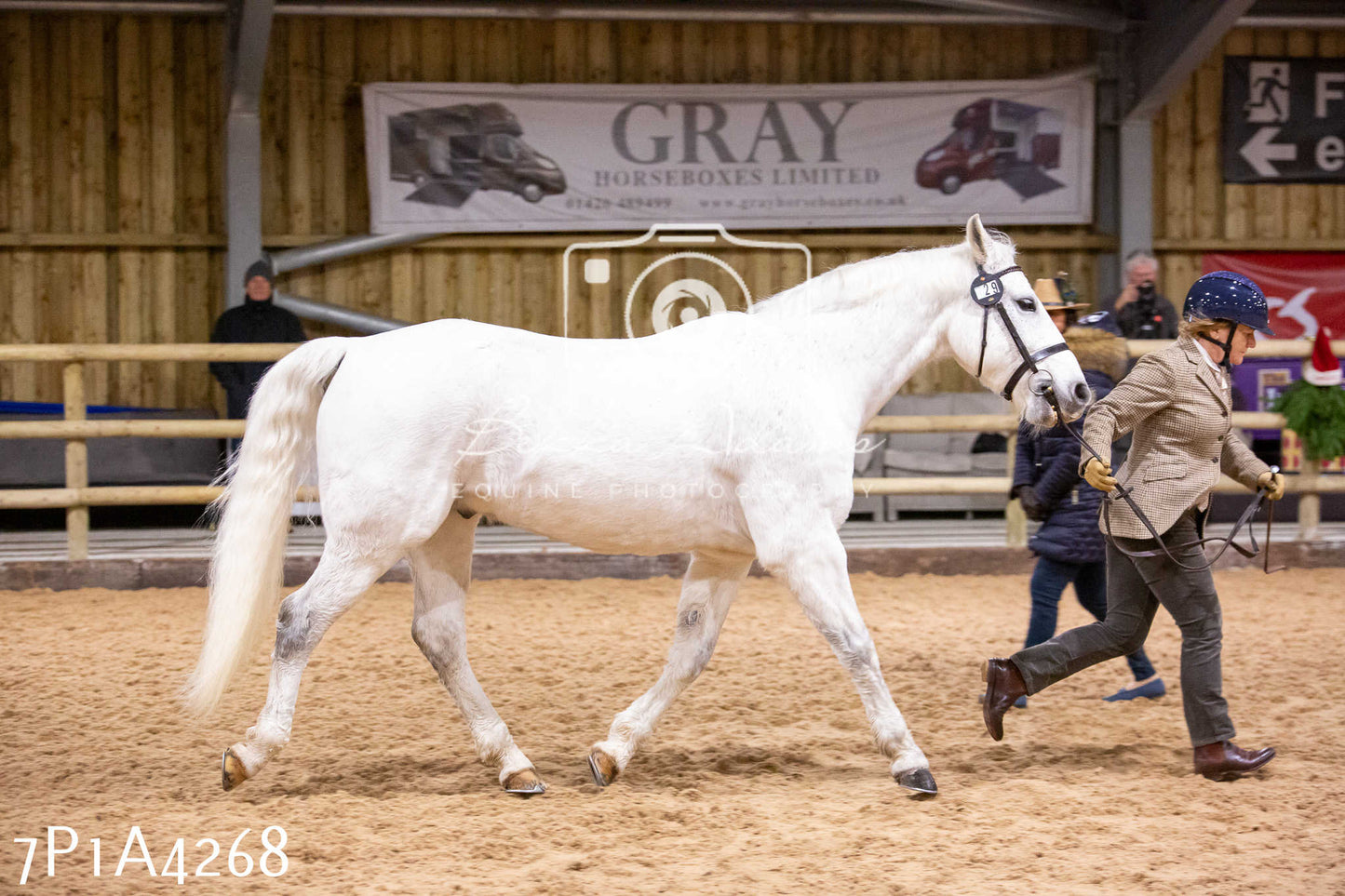 Home Farm Christmas Show 2024 - Inhand