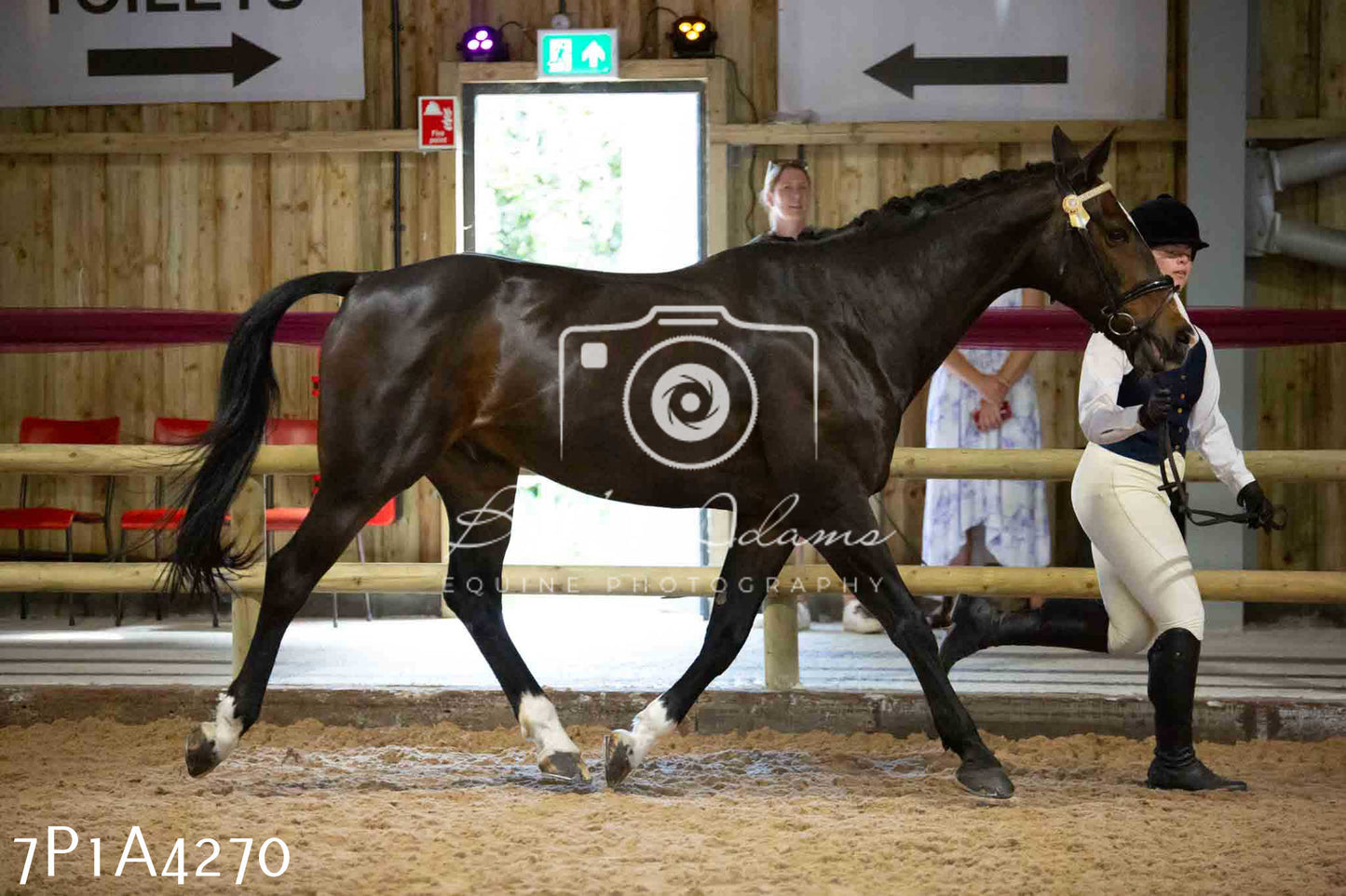 JHOYS 2023 - 9th September - Inhand Showing Pt2