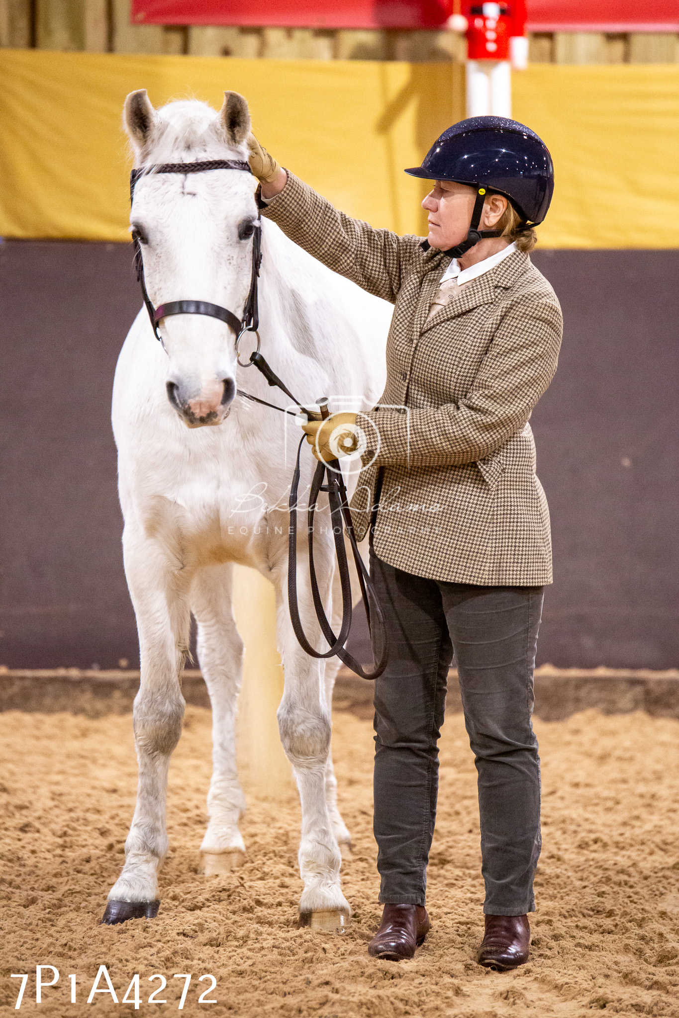 Home Farm Christmas Show 2024 - Inhand