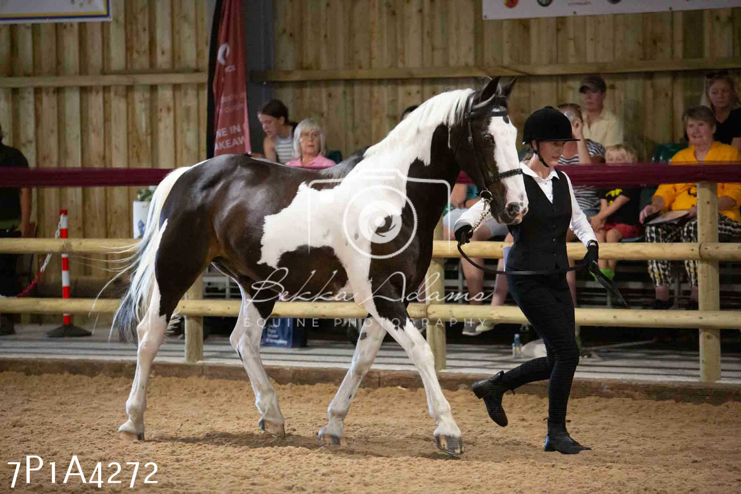 JHOYS 2023 - 9th September - Inhand Showing Pt2