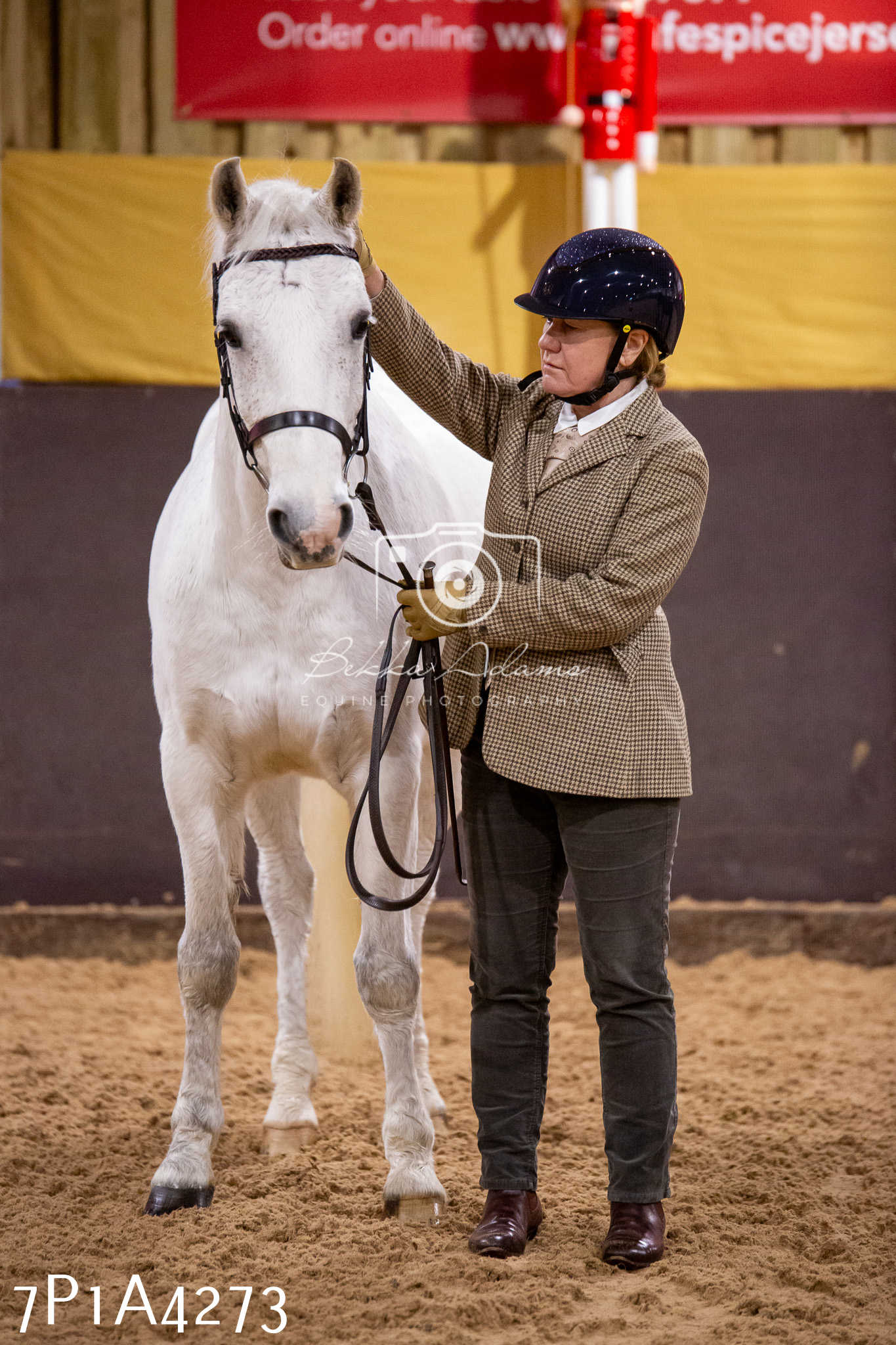 Home Farm Christmas Show 2024 - Inhand