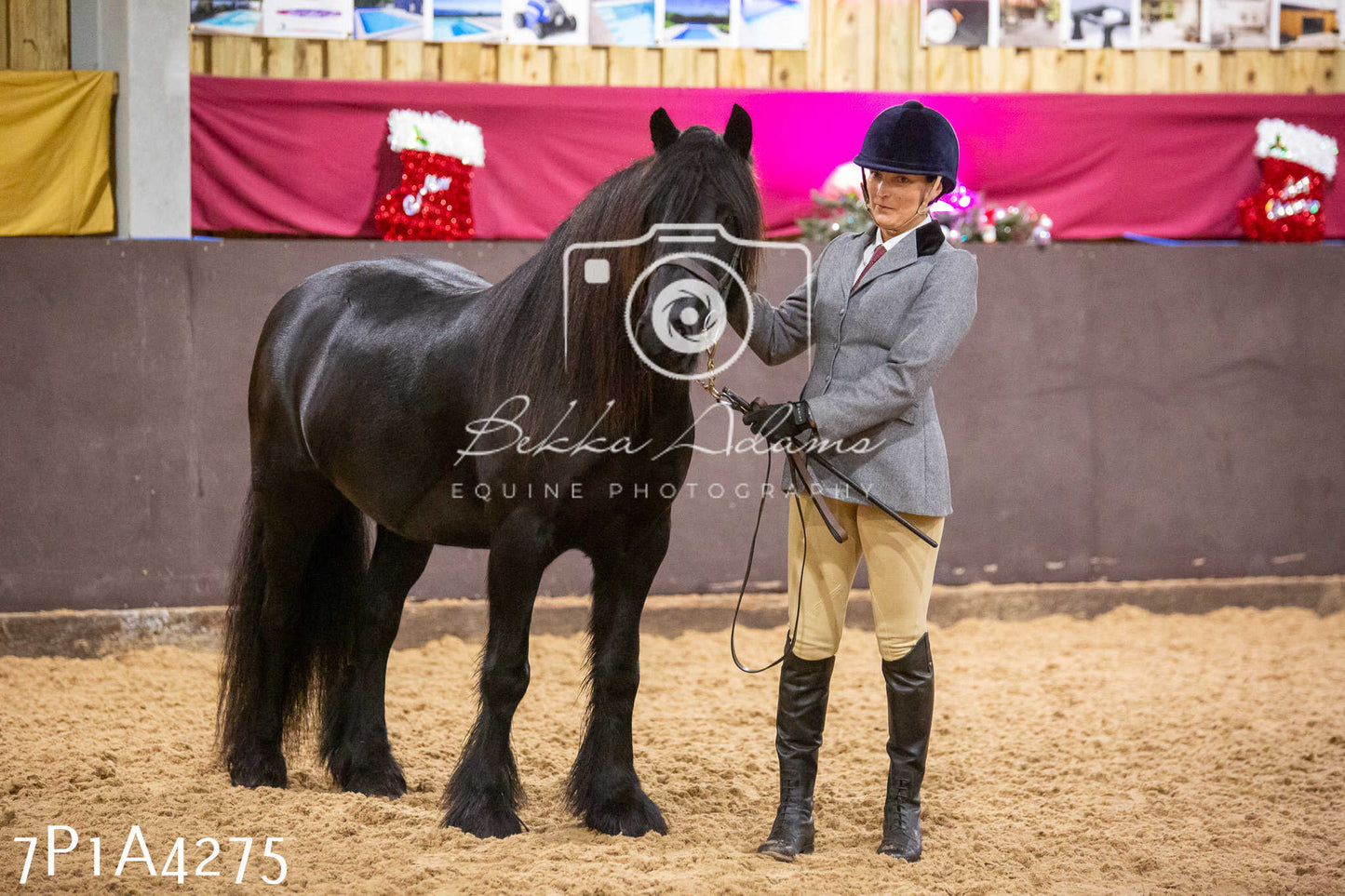 Home Farm Christmas Show 2024 - Inhand