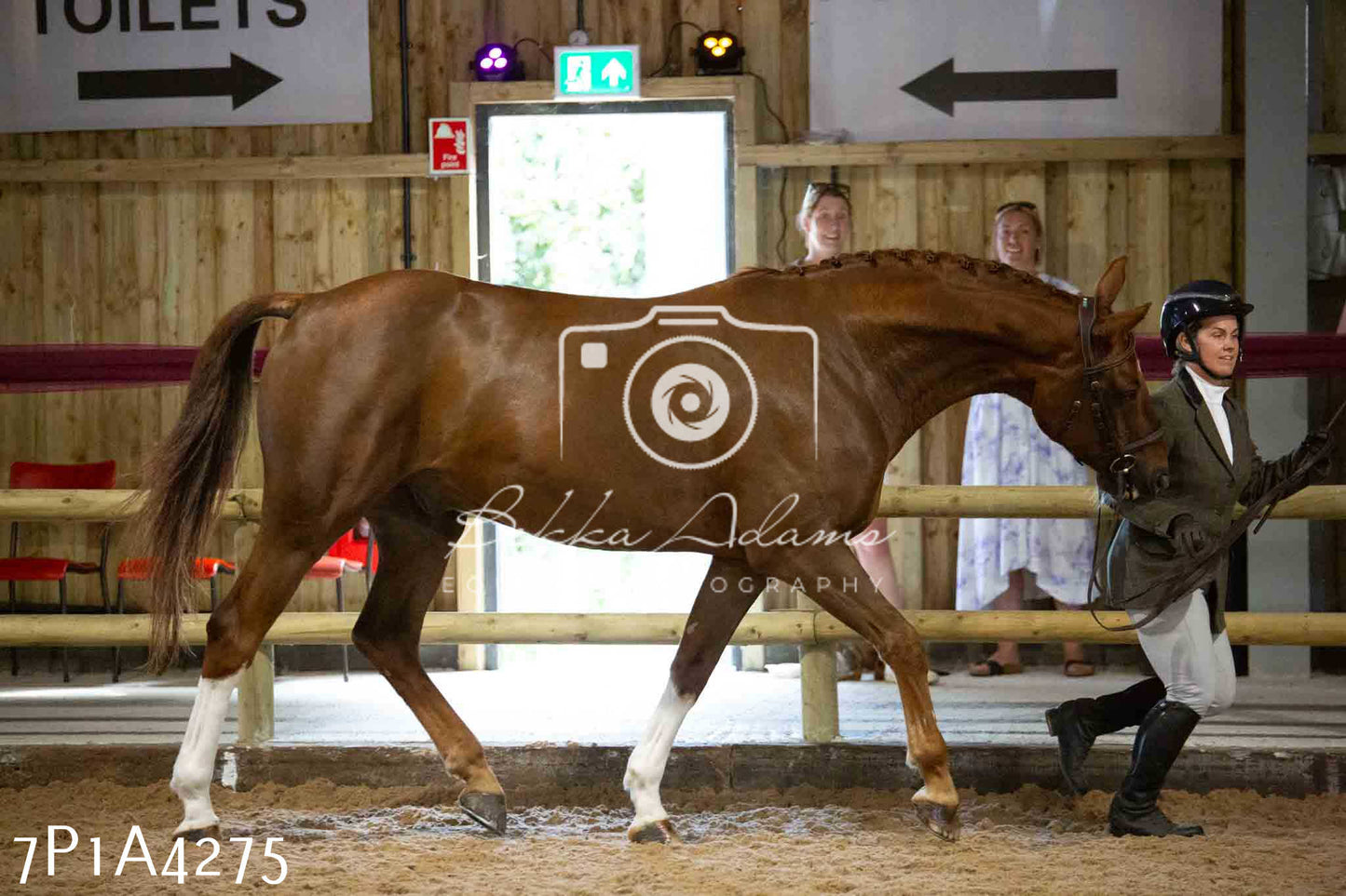 JHOYS 2023 - 9th September - Inhand Showing Pt2