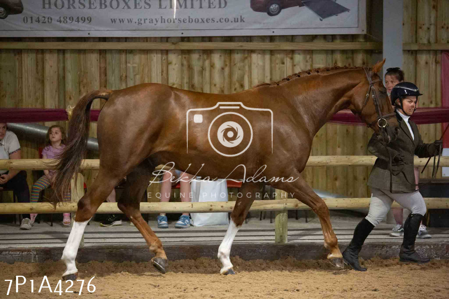 JHOYS 2023 - 9th September - Inhand Showing Pt2