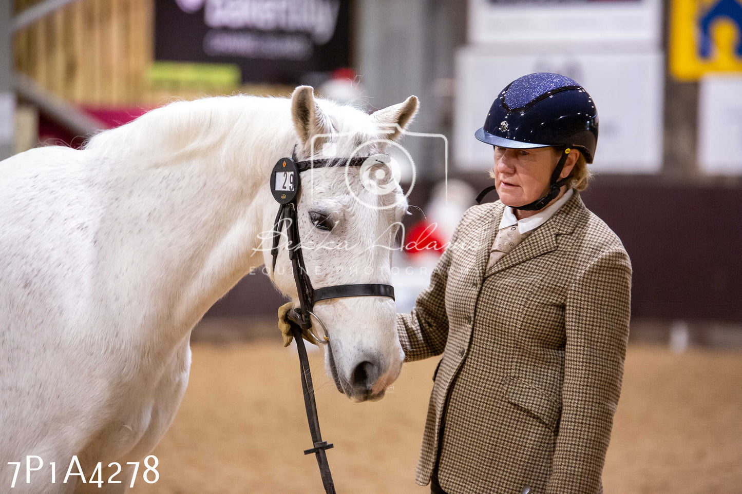 Home Farm Christmas Show 2024 - Inhand