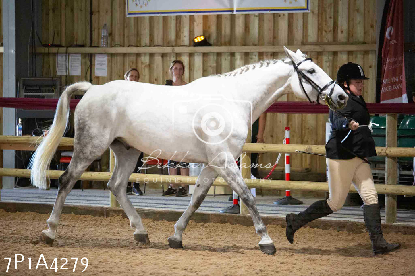 JHOYS 2023 - 9th September - Inhand Showing Pt2