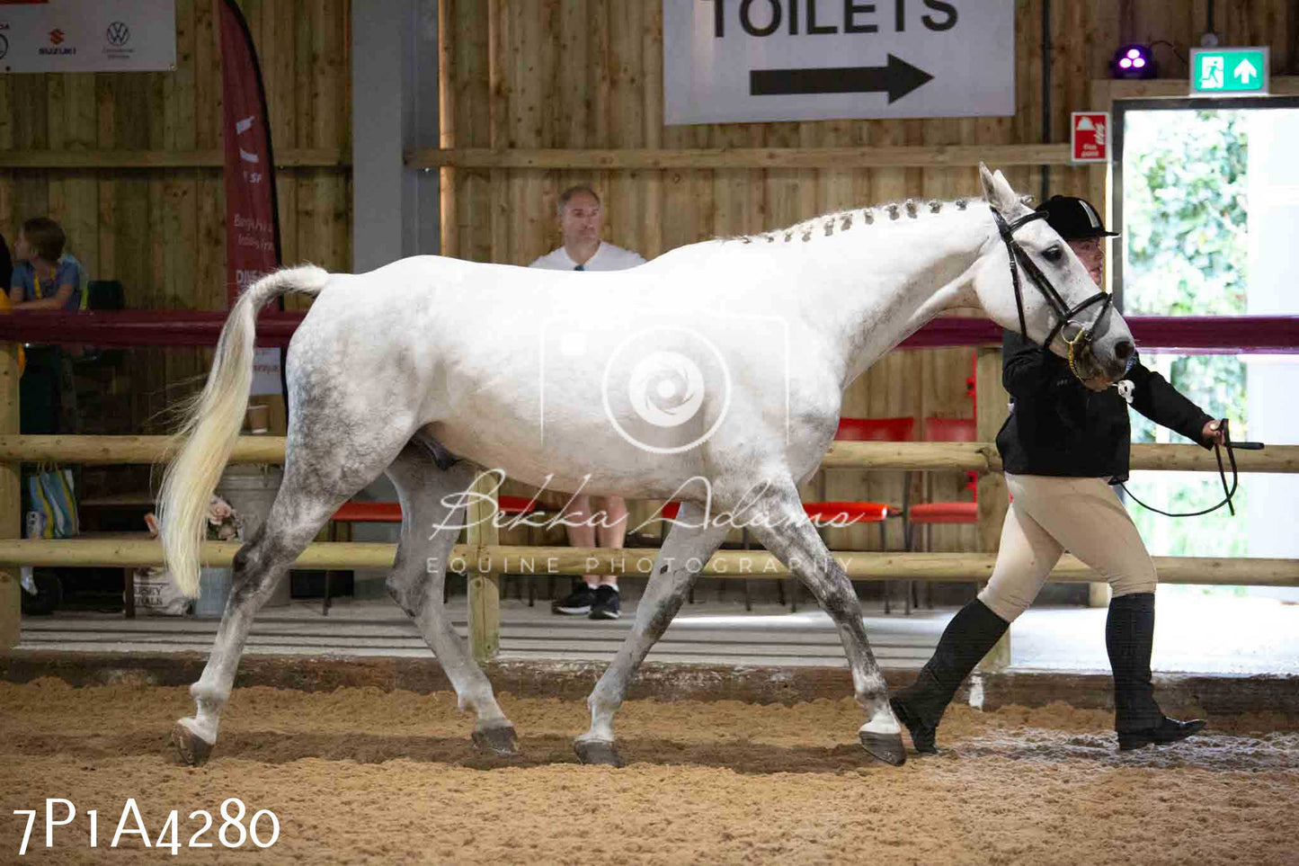 JHOYS 2023 - 9th September - Inhand Showing Pt2