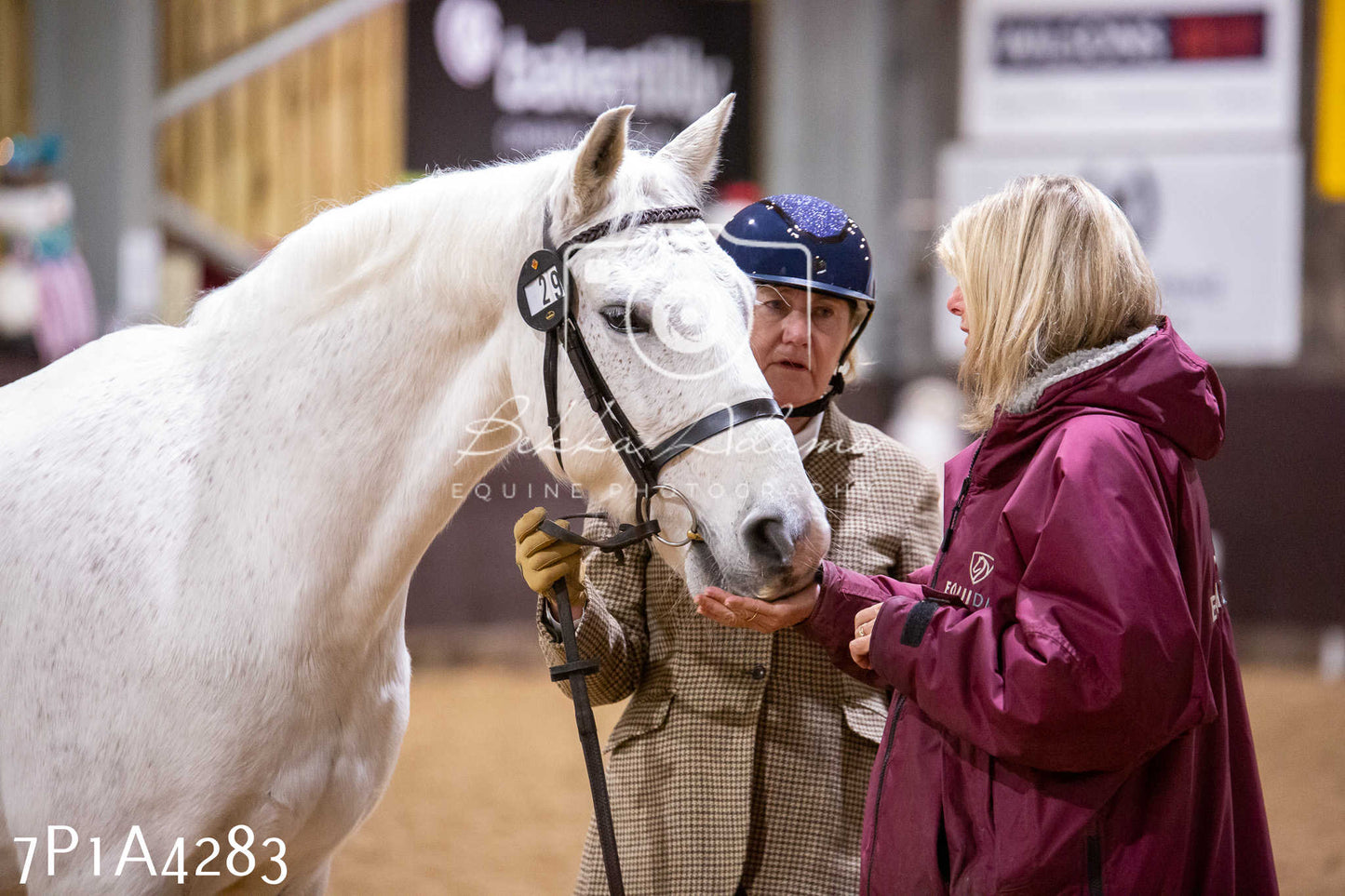 Home Farm Christmas Show 2024 - Inhand