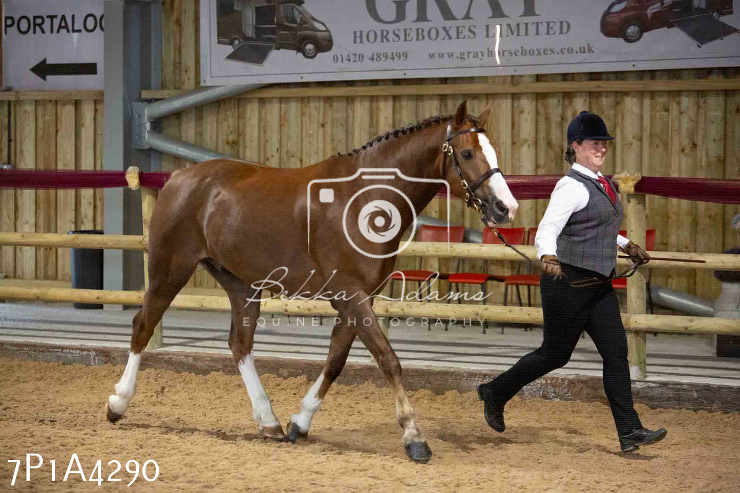 JHOYS 2023 - 9th September - Inhand Showing Pt2