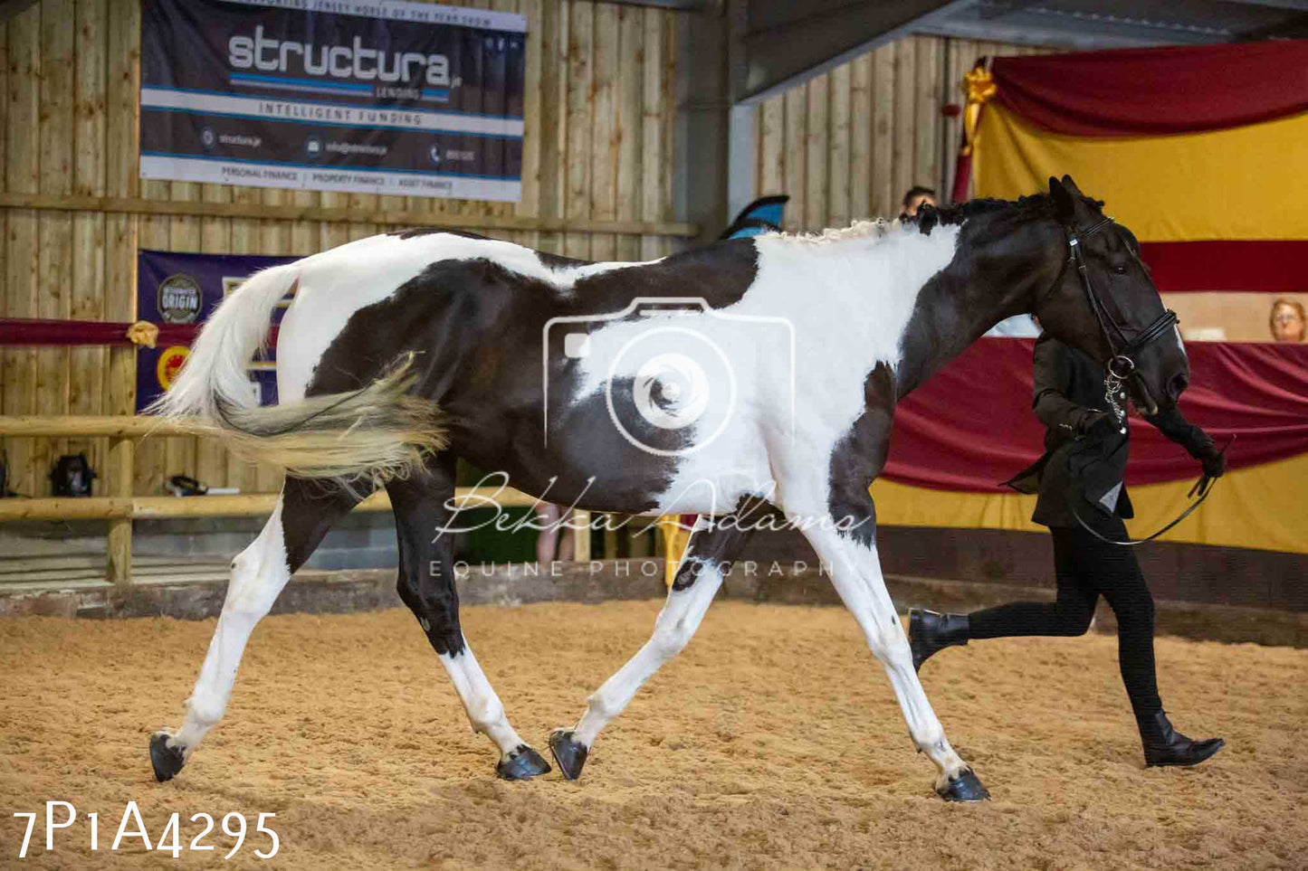 JHOYS 2023 - 9th September - Inhand Showing Pt2