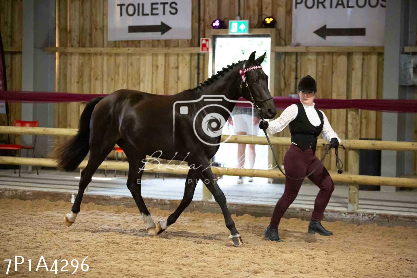 JHOYS 2023 - 9th September - Inhand Showing Pt2