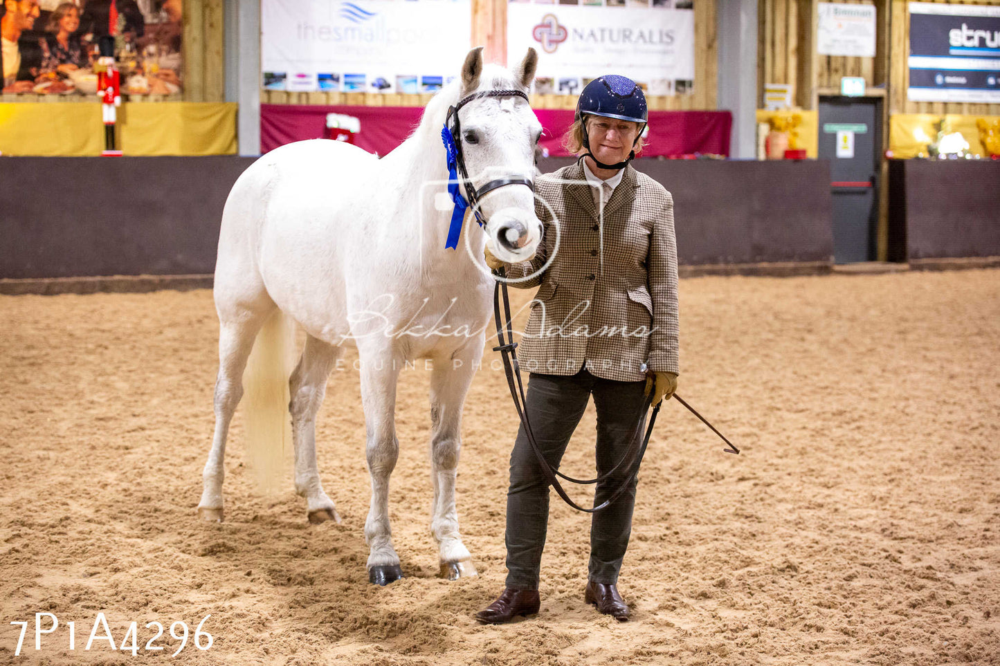 Home Farm Christmas Show 2024 - Inhand