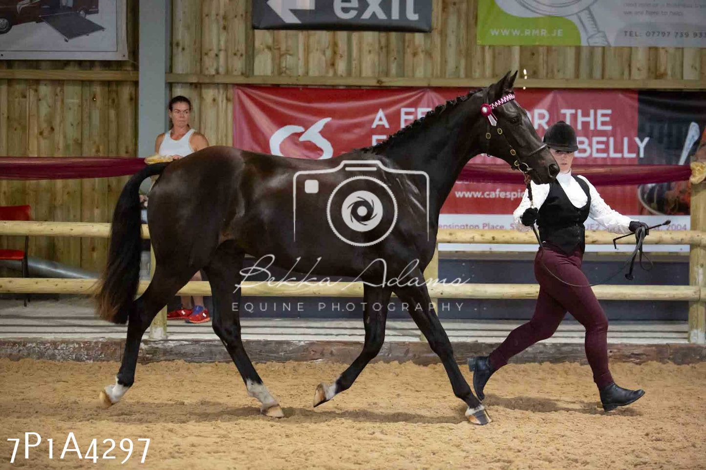 JHOYS 2023 - 9th September - Inhand Showing Pt2
