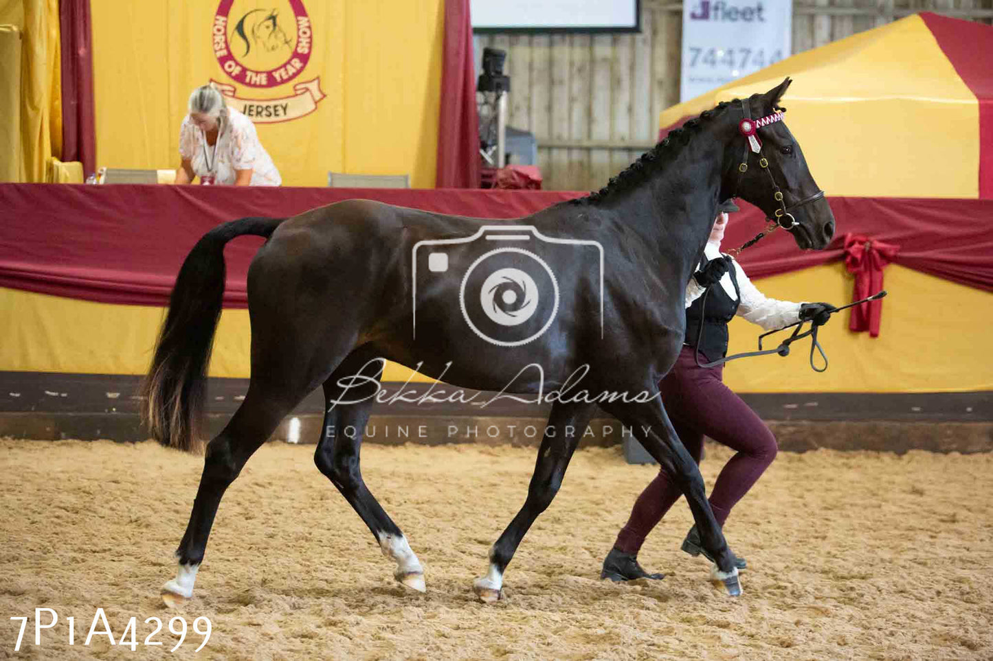 JHOYS 2023 - 9th September - Inhand Showing Pt2
