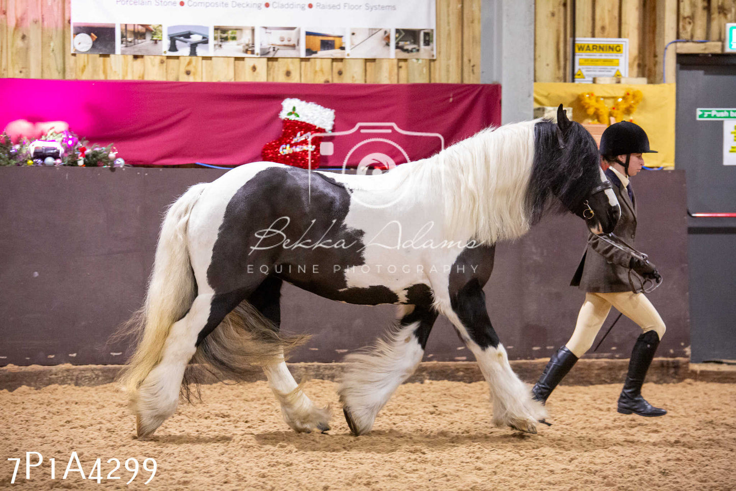 Home Farm Christmas Show 2024 - Inhand