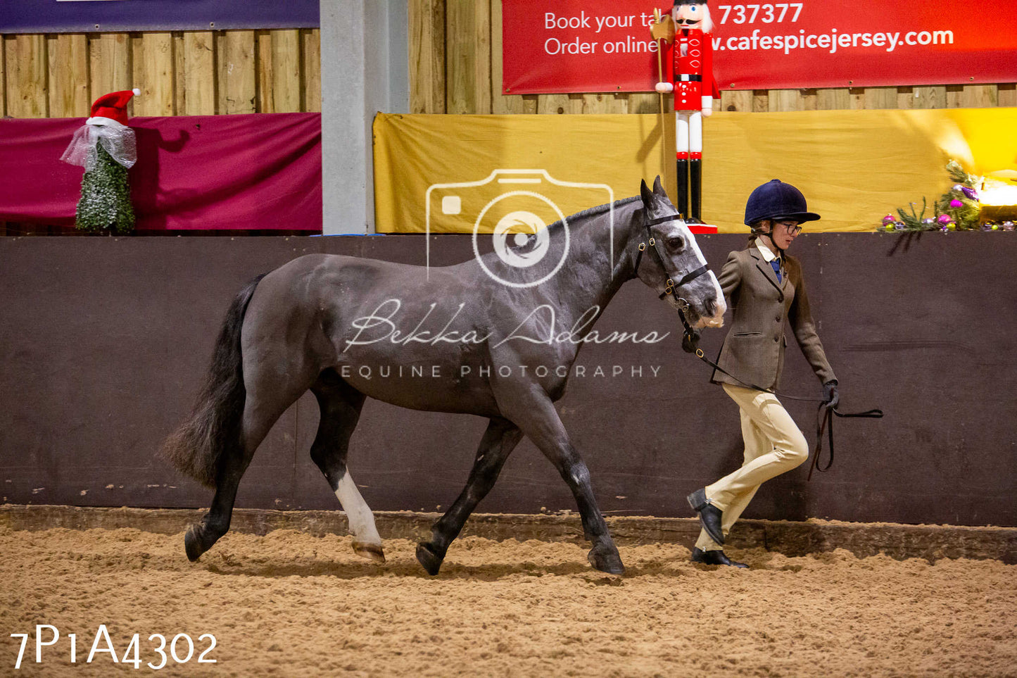 Home Farm Christmas Show 2024 - Inhand