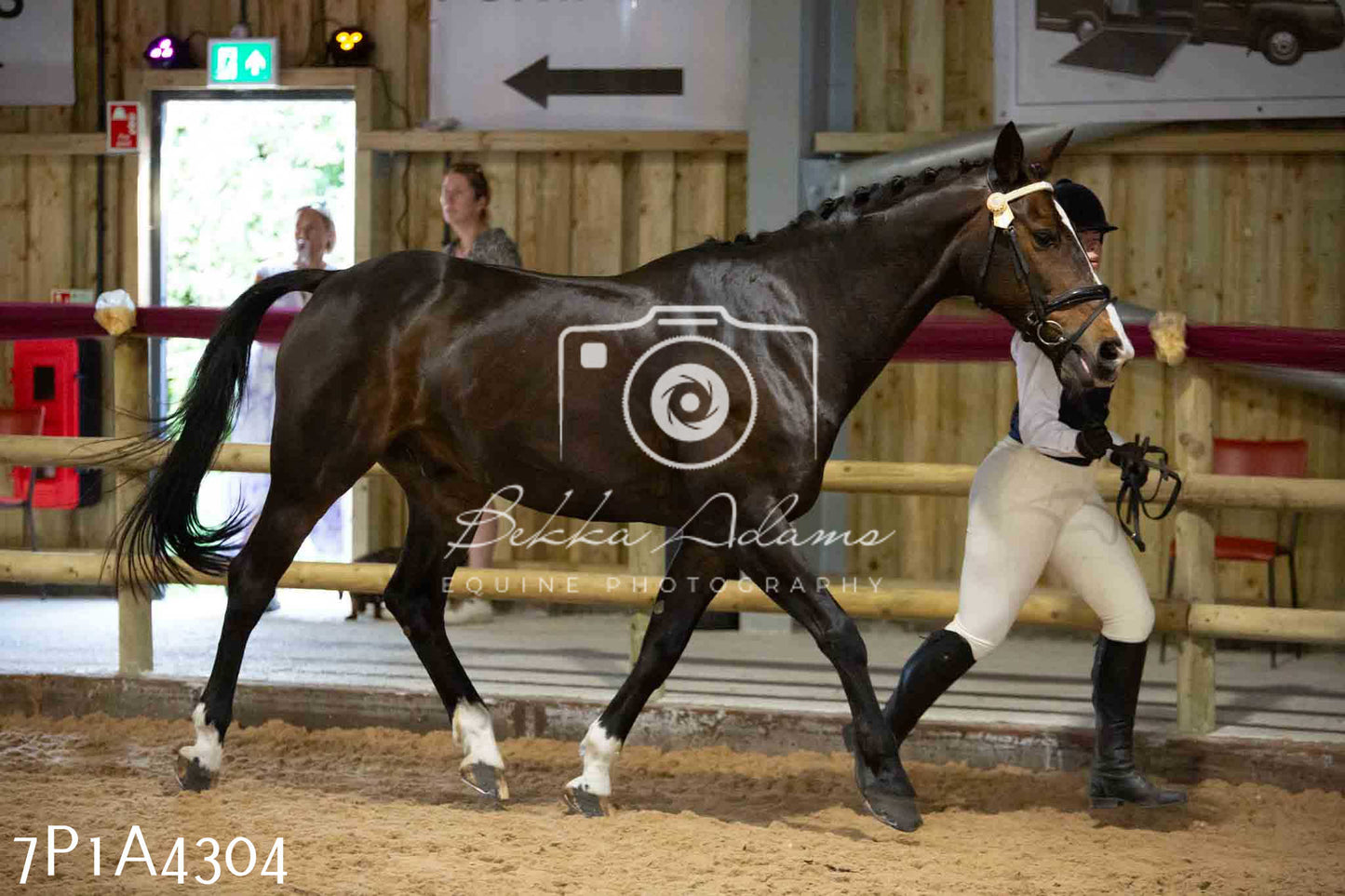 JHOYS 2023 - 9th September - Inhand Showing Pt2