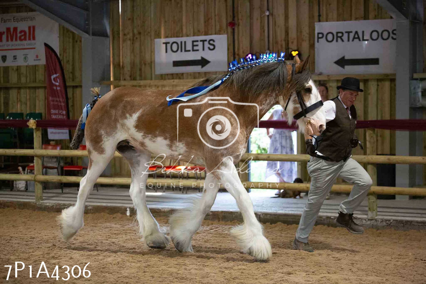 JHOYS 2023 - 9th September - Inhand Showing Pt2
