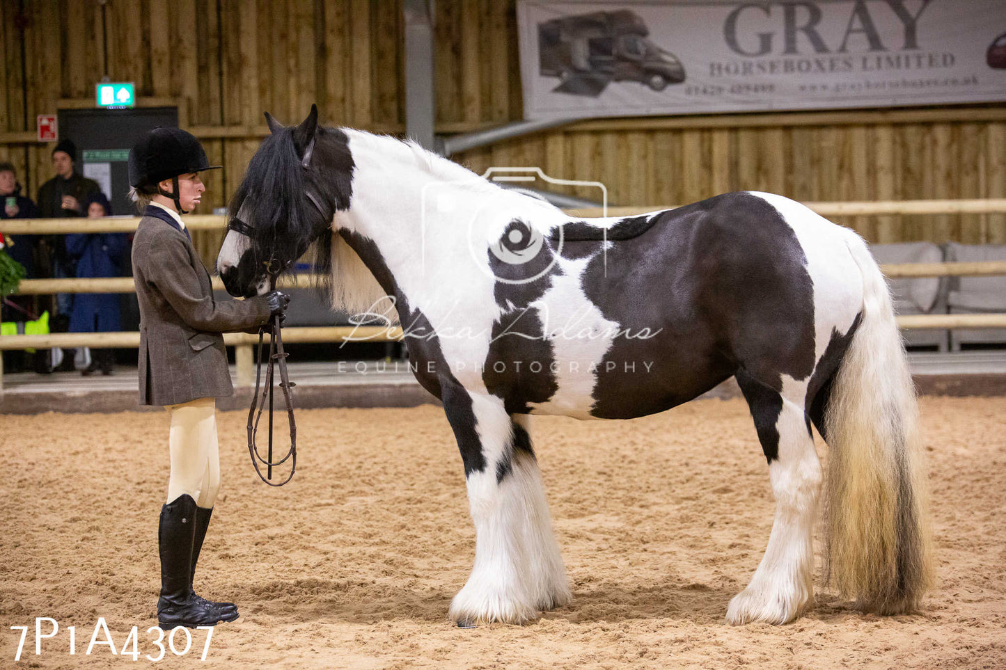 Home Farm Christmas Show 2024 - Inhand