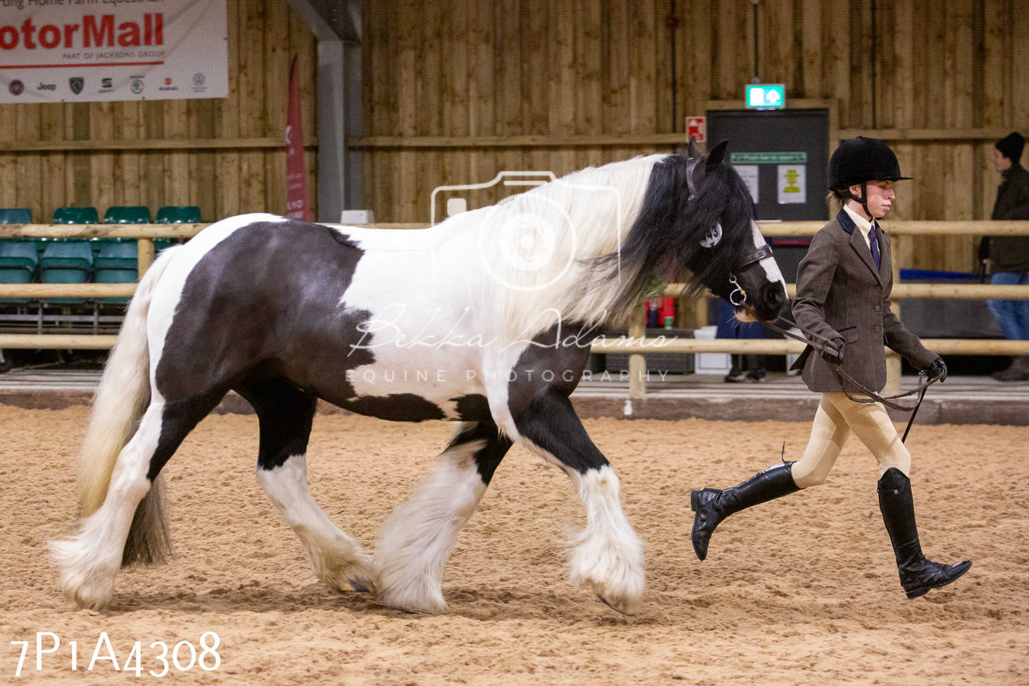 Home Farm Christmas Show 2024 - Inhand