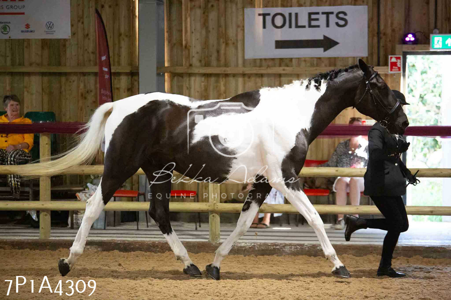 JHOYS 2023 - 9th September - Inhand Showing Pt2