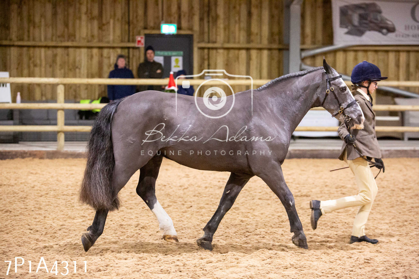 Home Farm Christmas Show 2024 - Inhand