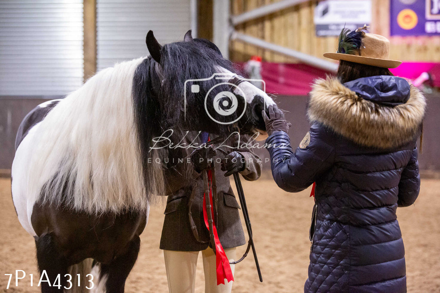 Home Farm Christmas Show 2024 - Inhand
