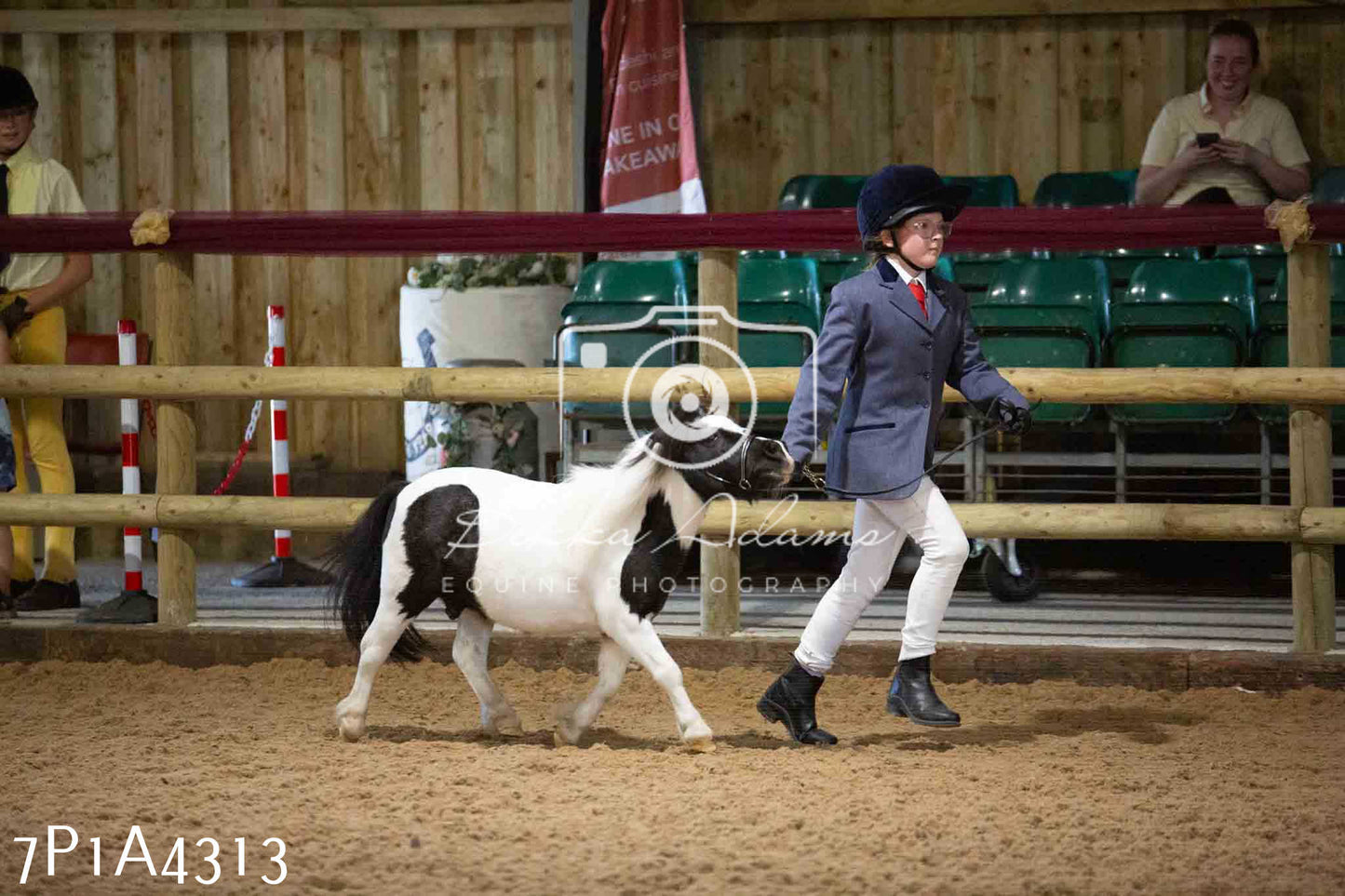 JHOYS 2023 - 9th September - Inhand Showing Pt2